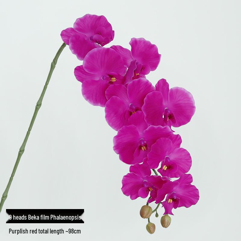 High-Quality Phalaenopsis Simulation with 9 Heads - Little Red Book Style Flower Decoration for Photography