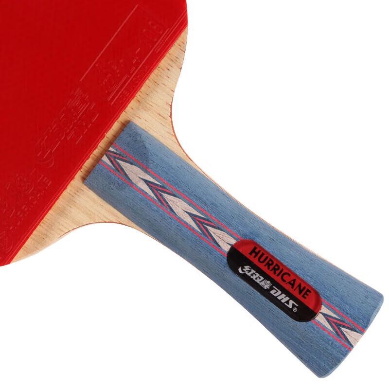 Raquete de tênis de mesa DHS NO2 All-Round