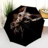 Vzor černá bezsrstá kočka, automatický skládací deštník, přenosný a skládací design, 8 výztuh, vánoční nebo narozeninový dárek.