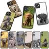 Capas para telemóveis – Para-choques para smartphones