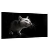 GLASS PROTECTIVE PLATE FOR STOVE 90X52 CAT
