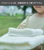 Senshu Towel, Organic Cotton, Handkerchief Towel, Made In Japan, Senshu Towel, Approx. 7.9 X 7.9 Inches (20 X 20 Cm), Quick Drying, Towel Handkerchief
