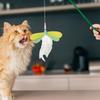 Cat Feather Teaser Cat Toy Dragonfly Shaped Interactive Kitten Feather Stick Cat Toy Feather Replacement For Cat Physical