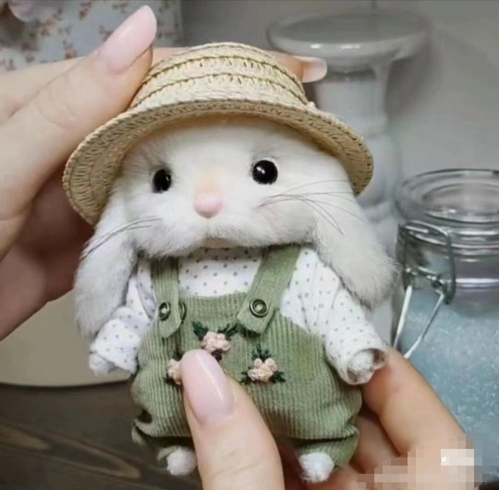 14cm Plush Stuffed Garden Bunny Plush Toys Handmade Clothes and Hats Gardener Little Rabbit Doll Christmas Gifts for Kids