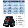 Vlastní MMA Muay Thai šortky, přineste svůj design nebo logo značky Taekwondo kalhoty pro dospělé děti sanda boxerské kalhoty pro muže a ženy