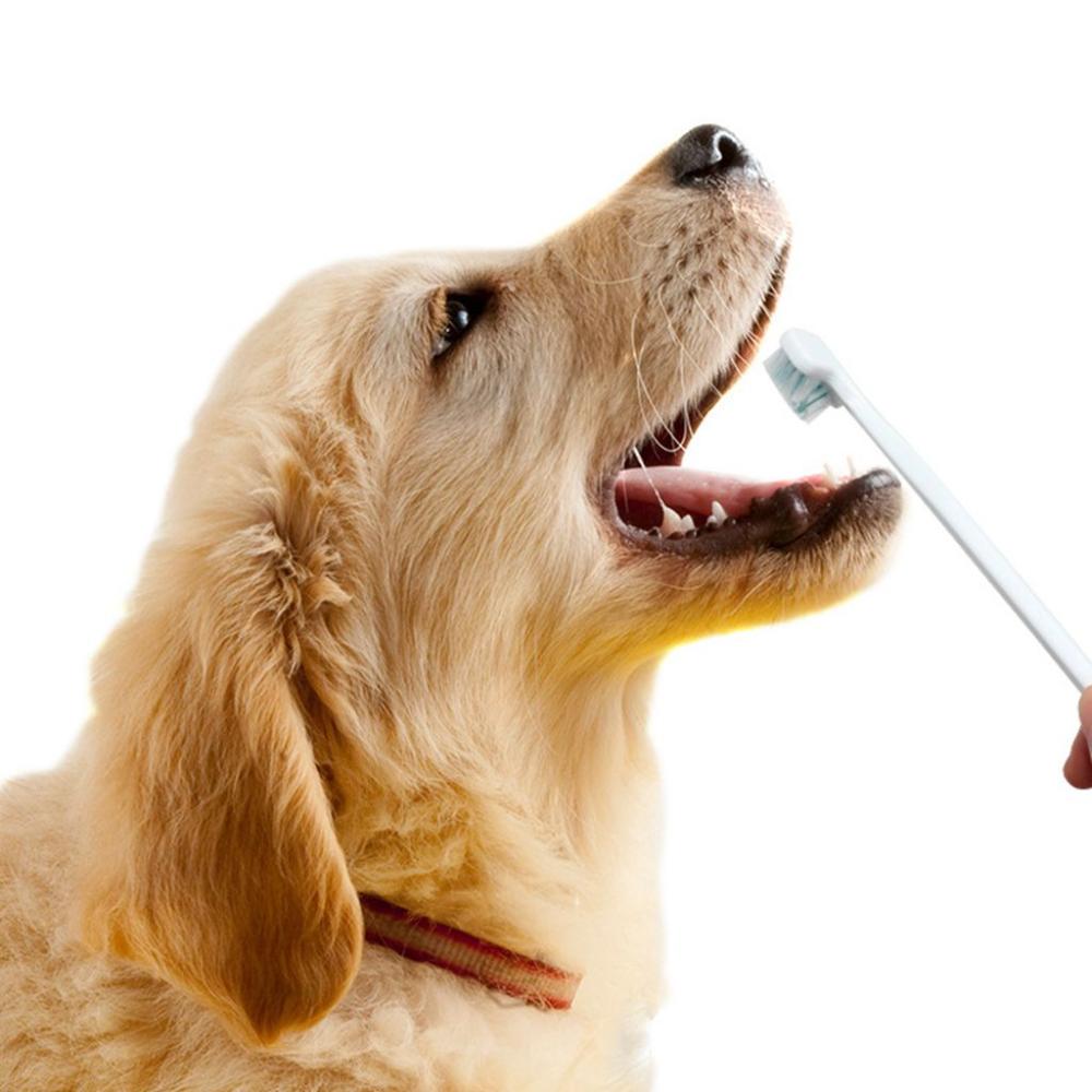 

Двойные головки для удаления неприятного запаха изо рта у собак Зубная щетка Товары для животных Уход за зубами от зубного камня Чистка полости рта домашних животных