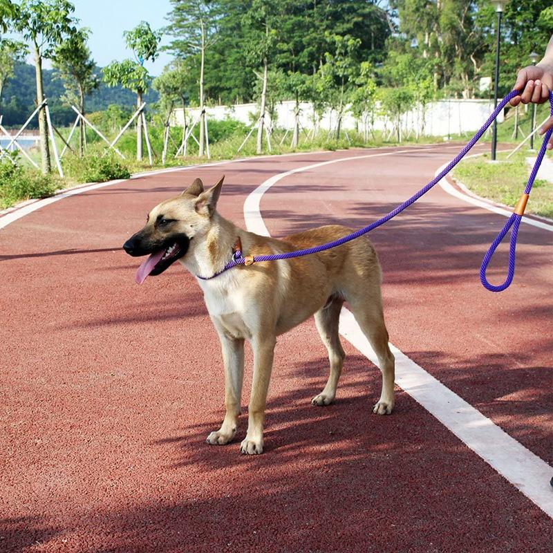 Hundehalsband, Hundeleine, Schlupfleine, robustes geflochtenes Seil, verstellbares Schlaufenhalsband, Trainingsleinen für mittelgroße und große Hunde