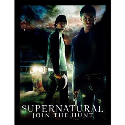 Impala Framed Poster