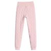 Cotton Pants Female Padded and Thickened Winter Outside Wearing De Down Bottoming Pants High Waist Lamb's Wool Warm Pants
