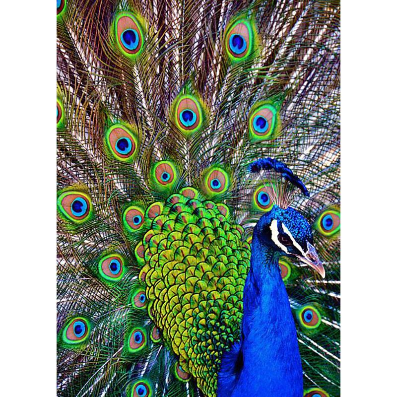 DIY PEACOCK 5D Diamantmaling Hel Rund Drill FUGLER Diamantbroderi Korssting Mosaikksett Harpiks Vegg Art Home Decor