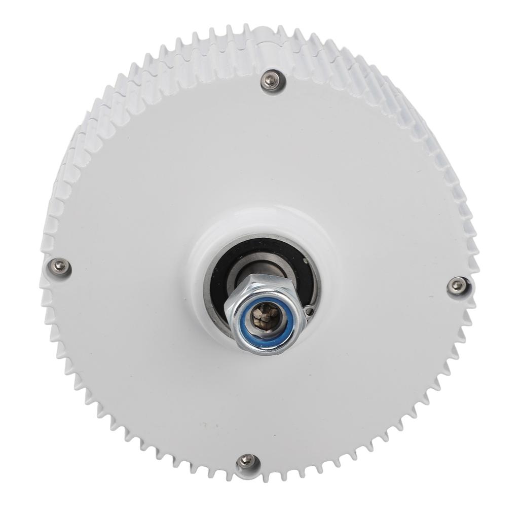 Motor sincron cu magnet permanent Dual Shaft 3 Fazat AC Alternator 12V pentru vertical sau orizontal