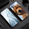Labrador Golden Retriever Dog Case For Xiaomi Mi 15 14 13 12 11 Lite 13T 12T Pro Poco X6 X5 X4 Pro 5G X3 NFC F6 F5 F4 M5 Cover