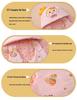 Newborn Anti-Kick Swaddle Sleeping Bag - Pure Cotton Winter/Autumn Thickened Baby Receiving Blanket