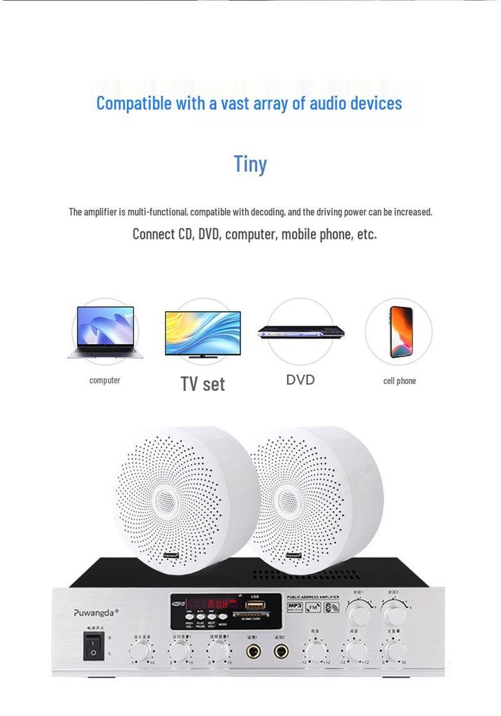 Wireless Indoor Ceiling Speaker with Wall-Mountable Hanging System