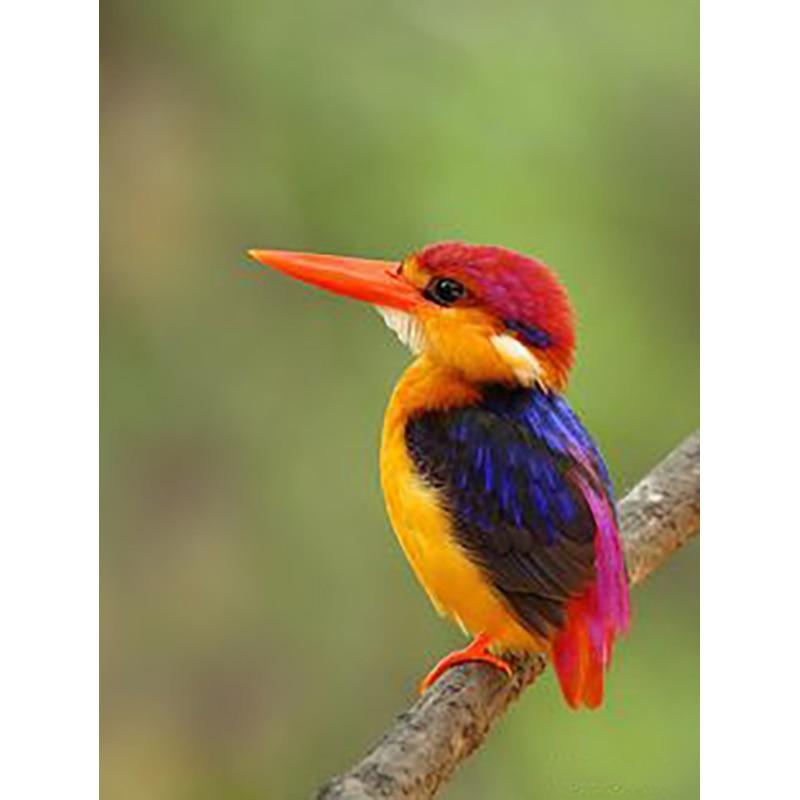 New 5D DIY Diamond Painting Bird Flower Diamond Embroidery Landscape Cross Stitch Full Round Drill Home Decor Manual Gift