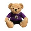 Trendy Plush Teddy Bear in Hoodie: Formal Wear Cloth Doll Ornament
