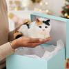 Cartoon Simulation Cat Doll Cozy Fluffy Desktop Decoration Realistic Kitten Decoration  Collectible