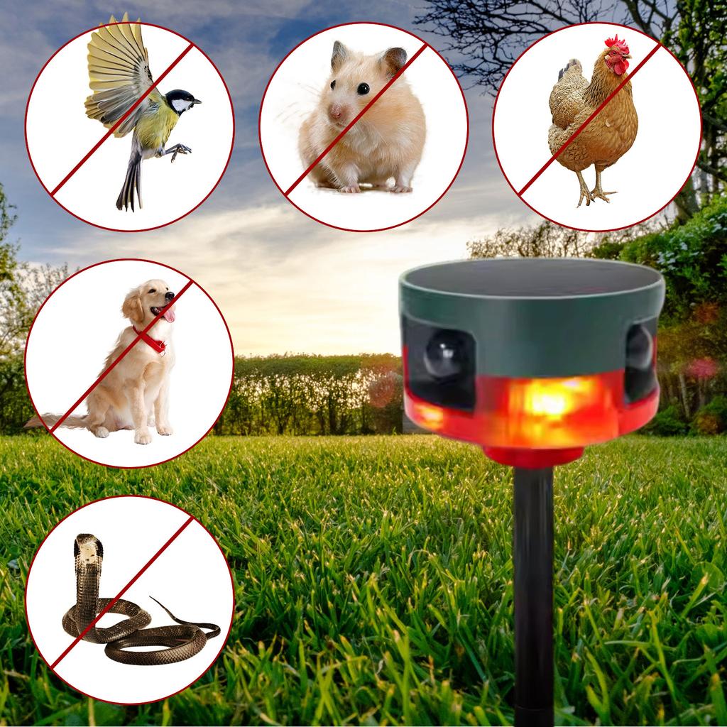 Solar Animal Wild Boar Scarer Light Bird Floor Light