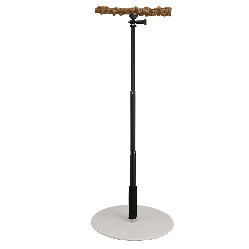 Suporte ajustável para pássaros, portátil, removível, para brincar de papagaio, para viagens em ambientes internos e externos