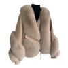 New Haining fox fur coat women's short, sheepskin locomotive suit fur integrated coat winter
