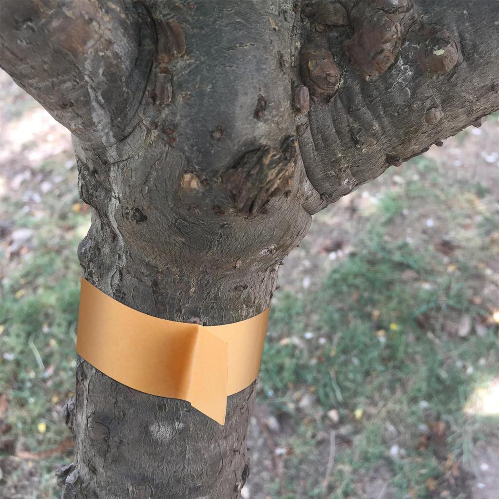 Baumschutzband Baumwickel Schutzrolle Klebrige Barriere Rinden-Schutz Pflanzen-Schutz Aufkleber für Garten Rasen Außen Obst