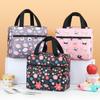 Durable Leakproof Lunch Bag Large Capacity Thickened Insulated Lunch Box Reusable Insulated Lunch Tote School Office Picnic