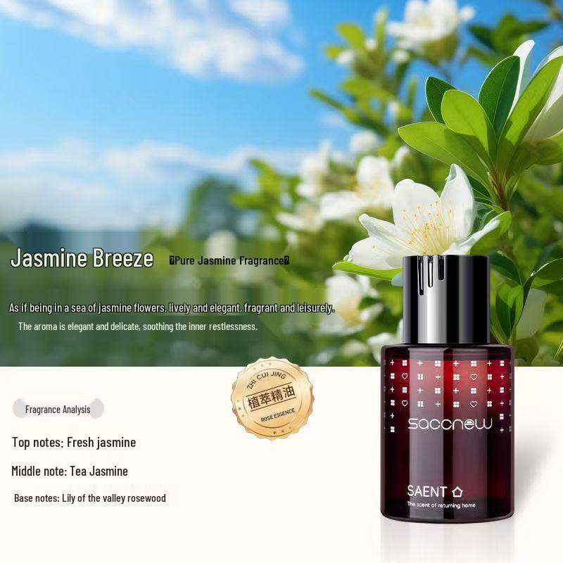 Naturalny Długotrwały Odświeżacz Powietrza do Samochodu: Odświeżająca ozdoba do wnętrza samochodu