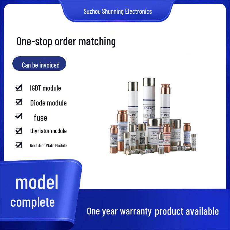 RO19H gG 600V Fuses: Available in 2A, 4A, 15A, and 30A - All New Original Models.