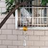 Campanelli eolici a spirale in acciaio inossidabile, sferici di cristallo, pendenti con gancio girevole, decorazione da appendere alla parete per la casa, il giardino, il vivaio