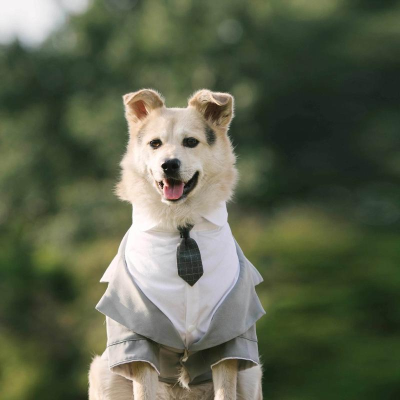 Elegant Pet Dog Suit Coat Puppy Wedding Suit Fake Two Pieces Cute Puppy Suit with Tie Dog Costume for Small Medium Large Dogs