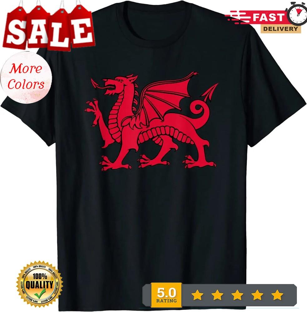 2025/Welsh Red Dragon Flag of Wales T-Shirt Unisex T-Shirt XXXXL