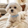 Metal Buckle Denim Dog Collar with Bell Soft Leather Puppy Jean Collar Adjustable Quick Release Puppy Neck Strap For Dogs Cats