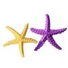 2 Pcs Mini Resin Starfish Ocean Decor Tiny Summer Starfish Figurine for Miniature DIY Crafts Fairy Garden Ornament Beach Party Home Decoration