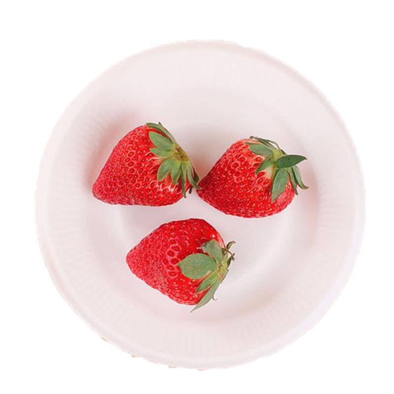 UO Biodegradable Paper Plates