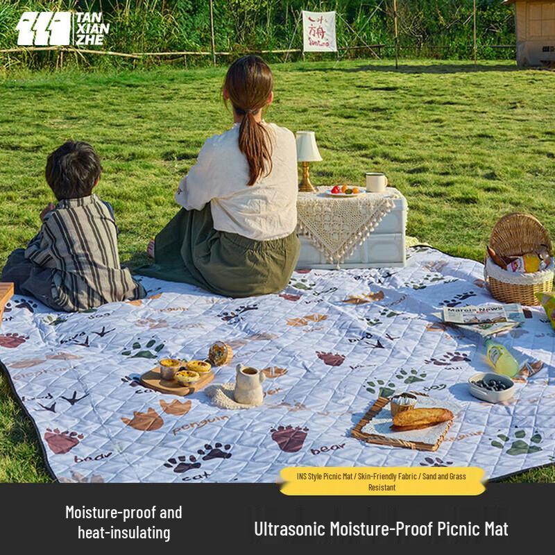 Explorer Ultrasonic Outdoor Picnic Mat