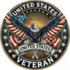 Metallblechschild US-Veteran Patriotischer Adler Wandkunst Gedenkdekoration