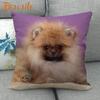 Nice Pomeranian Dog Pillowcase Bedroom Home Decorative Cover 45x45cm Square Zipper Pillow Cases Cotton Linen Fabric No Fade