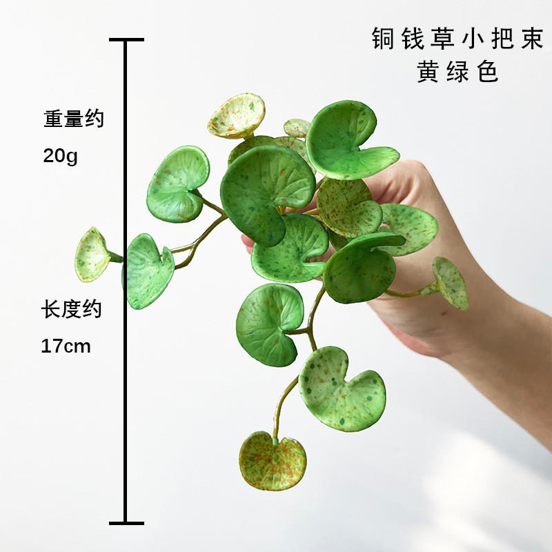Soft with A Soft Texture Mini Fake Leaves Copper Money Grass Home Decoration Green Plant Tabletop Placement
