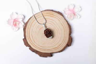 Natuurlijke 3 Mukhi Rudraksha Zilveren Hanger 925 | Kralen Voor Moed, Focus, Positieve Energie, Spirituele Energie & Genezende Kralen | Biologisch & Lab Gecertificeerd