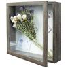 Telarana Picture Photo Specimen Shadow 3D Box Frame with Diameter 294 X 294 X 74 Inner Diameter 269 X 269 X Frame, Stand, Box, Box, Frame, Magnet,