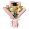 Dr. Bear Plush Toy Cartoon Graduation Gift New Graduation Bouquet  Party Decor