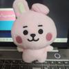 BTS BT21 Cookie Doll Keyring Used