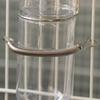 Metal Spring with 2 Clips Durable Stainless Steel Small Animal Cage Accessories Fixing Food Water Dispenser for Rabbit