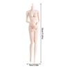 1/6 Collectible Figure Doll Body With Articulated  System And Natural Skin Tone Finish For Display Doll Customization