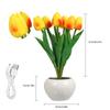 Tulip Lamp Indoor Decorative Table Lamp Flower Pot Lamp Ambient Night Light Gift Potted Plant
