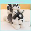 Toy Husky Plush Cute Cartoon Girl Child Bedroom Decoration Scene Simulation Doll