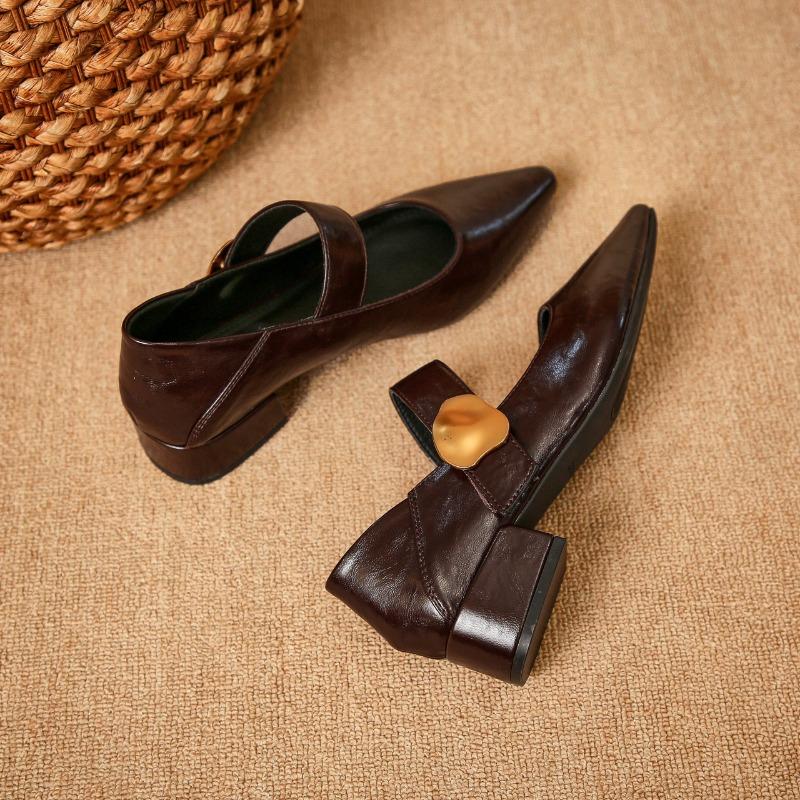 French Block Heel Single Shoes Women Spring and Autumn New Metal Buckle Pointed Toe Shallow Mouth One Belt Mary Jane Shoes