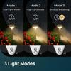 Solar Garden Light, Outdoor Landscape Stake Lamp, Courtyard Decorative Lighting, Villa Pathway Night Light