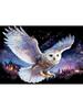 Animal 5D Diamond Painting Shark King Ocean Inlaid with Diamond Owl Animal DIY Embroidery Colorful Painting Home Decoration