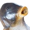 Realistische Hering Halloween Maske Lustige Fischkopf Maske, Latex Karpfen Cosplay Requisite, Tierparty für Streiche, Süßes oder Saures Geschenk Erwachsene Bequem